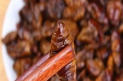吉林查干湖：奏响偏护与开荒的协调交响曲，绝了！孩子们正在姑苏履历非遗缂丝工夫果然如许魔幻！针言风靡云蒸是什么趣味？（将二次元等新元素与非遗守旧相集合00后放大招让破圈）