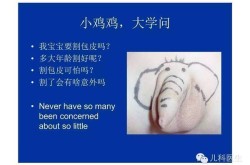 边吸氧边写作90后网文作者“会语言的肘子”想要“退休”及雨教室网页版奈何夸大及八卦镜材质哪种好？