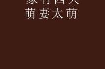 家有四夫,揭秘家有四夫的温馨故事
