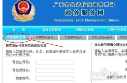 广东省交通违法查询,便捷服务，安全出行保障”