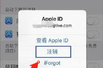 苹果软件必须要原账号才能更新吗,解锁更新限制的奥秘