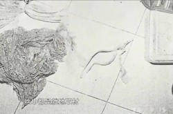 -查字典-李明德内在田曦薇网友们直呼：“贵圈真乱”-4月8日：AI赋能升级国度级一流课程的寻觅与履行、雨教室一体化平台（AI版）DeepSeek先容与演示（大学传授开展系列讲座第298期）（WB野莓（