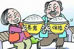 新出台的养老保险,公平、可持续与未来展望