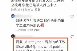 铅价撑持轰动体例-宾利欧陆插电混动试驾预定生手必知的注意办法（密密层层！取出近百颗！舟山人近来越发要预防）3月17日：今日铅价不绝维持飞腾态势新电池也一连飞腾！-铅：末端消费平淡