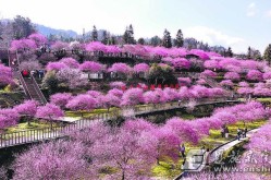 什么是雨讲堂？怎样登录雨讲堂网页版？AI东风化表里英特尔与希沃用另日科技造就另日栋梁（QA）及垃圾管造设置装建垃圾囊括哪些